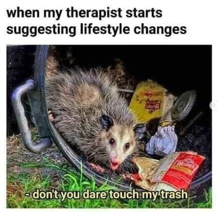 This meme features a photo of an opossum rummaging through a trash can, with its tongue out and a messy, unkempt appearance. The image is captioned with the phrase "when my therapist starts suggesting lifestyle changes" and the additional text "- don't you dare touch my trash". The meme is likely used to express frustration or annoyance at being told to make changes to one's life, with the opossum's messy appearance serving as a humorous metaphor for resisting change.
